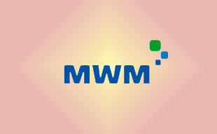 ✓ MWM 0403 3378 Запчасть MWM 